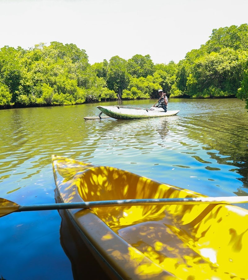 Kayak Bentota Sri Lanka (13)